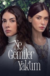 Какие корабли я сжёг