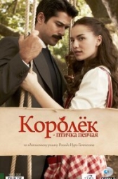 Королёк – птичка певчая